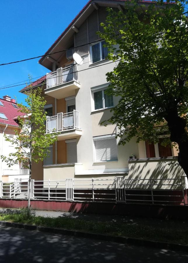 Heviz Lake Apartman المظهر الخارجي الصورة